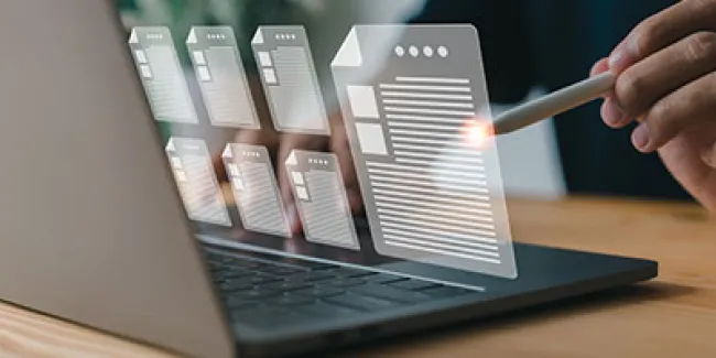 Acerca del proceso de la FOIA