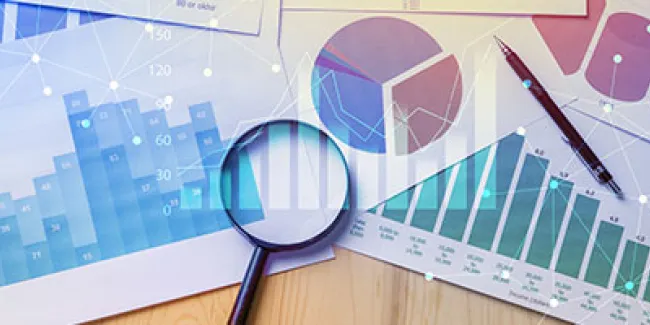Datos de informes financieros Datos de informes financieros